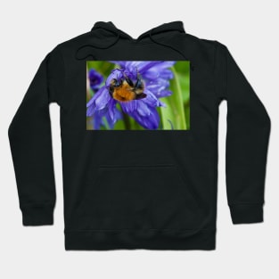 Bumbling along and hanging on Hoodie